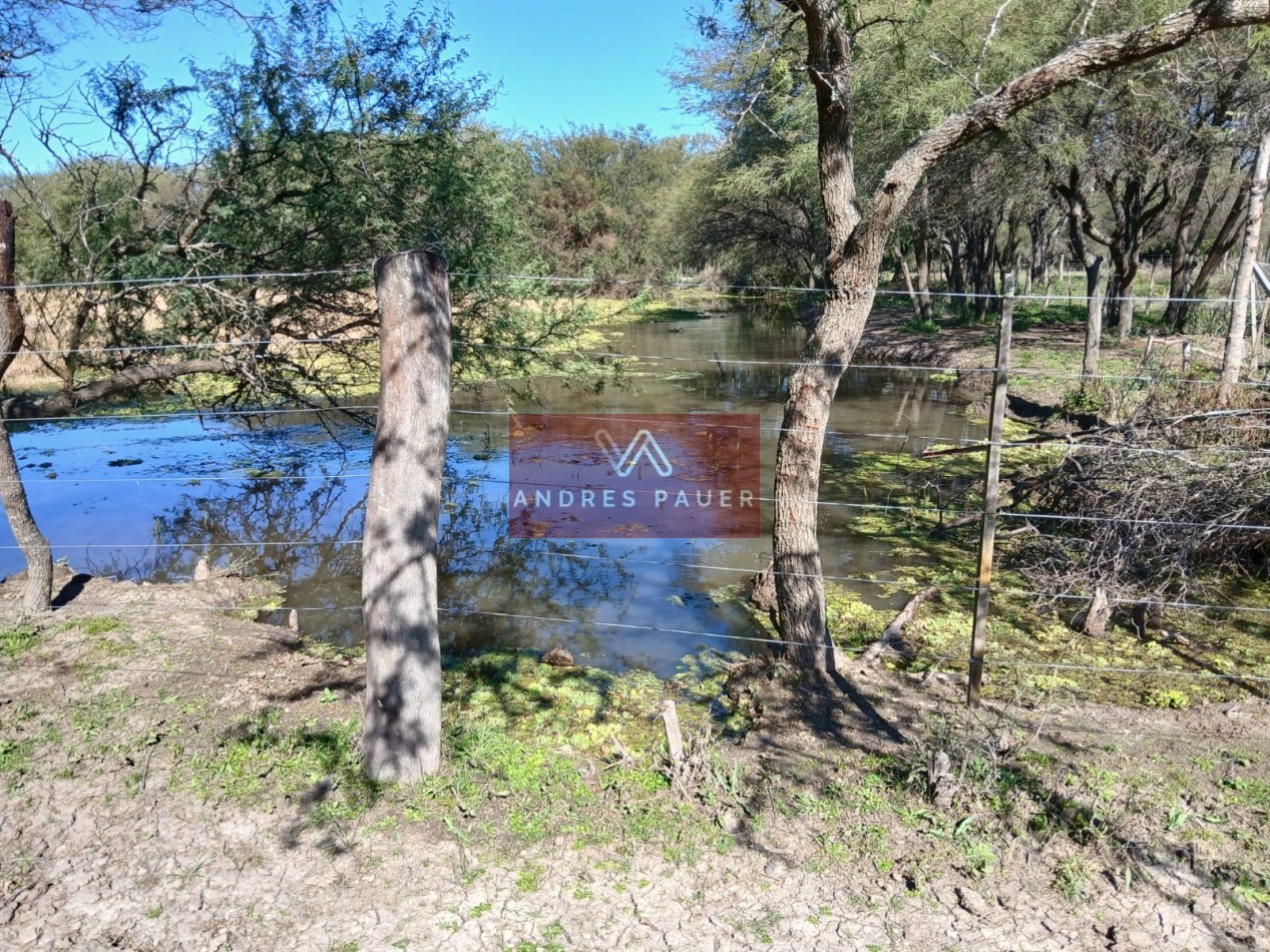 VENTA O ALQUILER DE CAMPO GANADERO 496 HECTAREAS