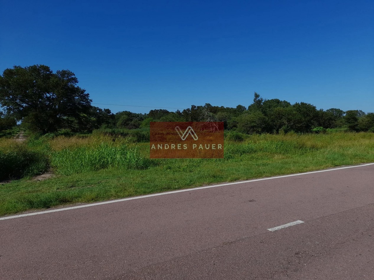 VENTA DE CAMPO