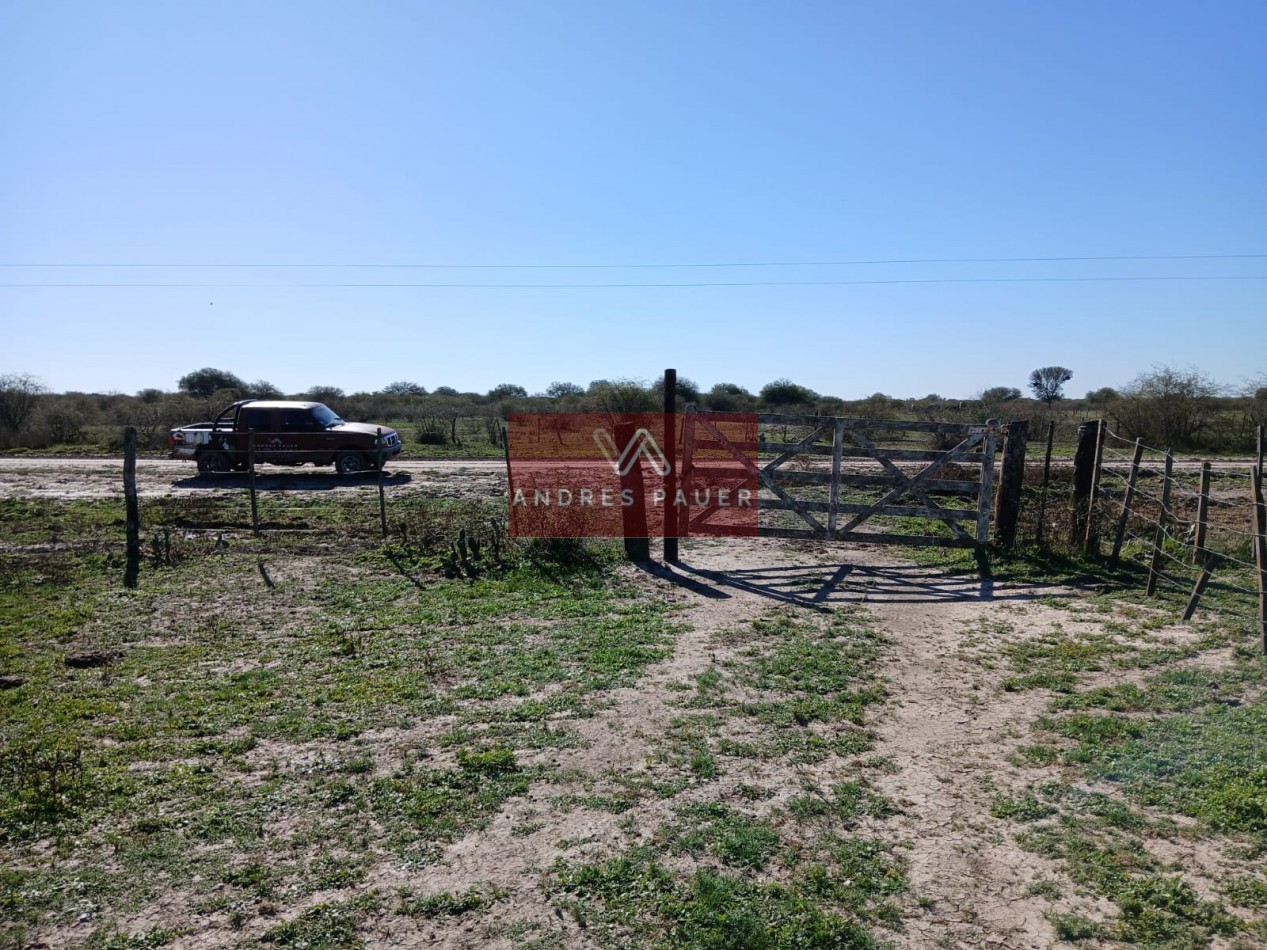 VENTA O ALQUILER DE CAMPO GANADERO 496 HECTAREAS