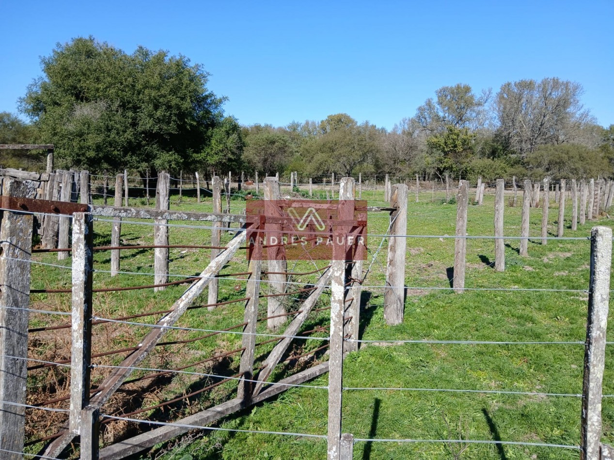 VENTA O ALQUILER DE CAMPO GANADERO 496 HECTAREAS