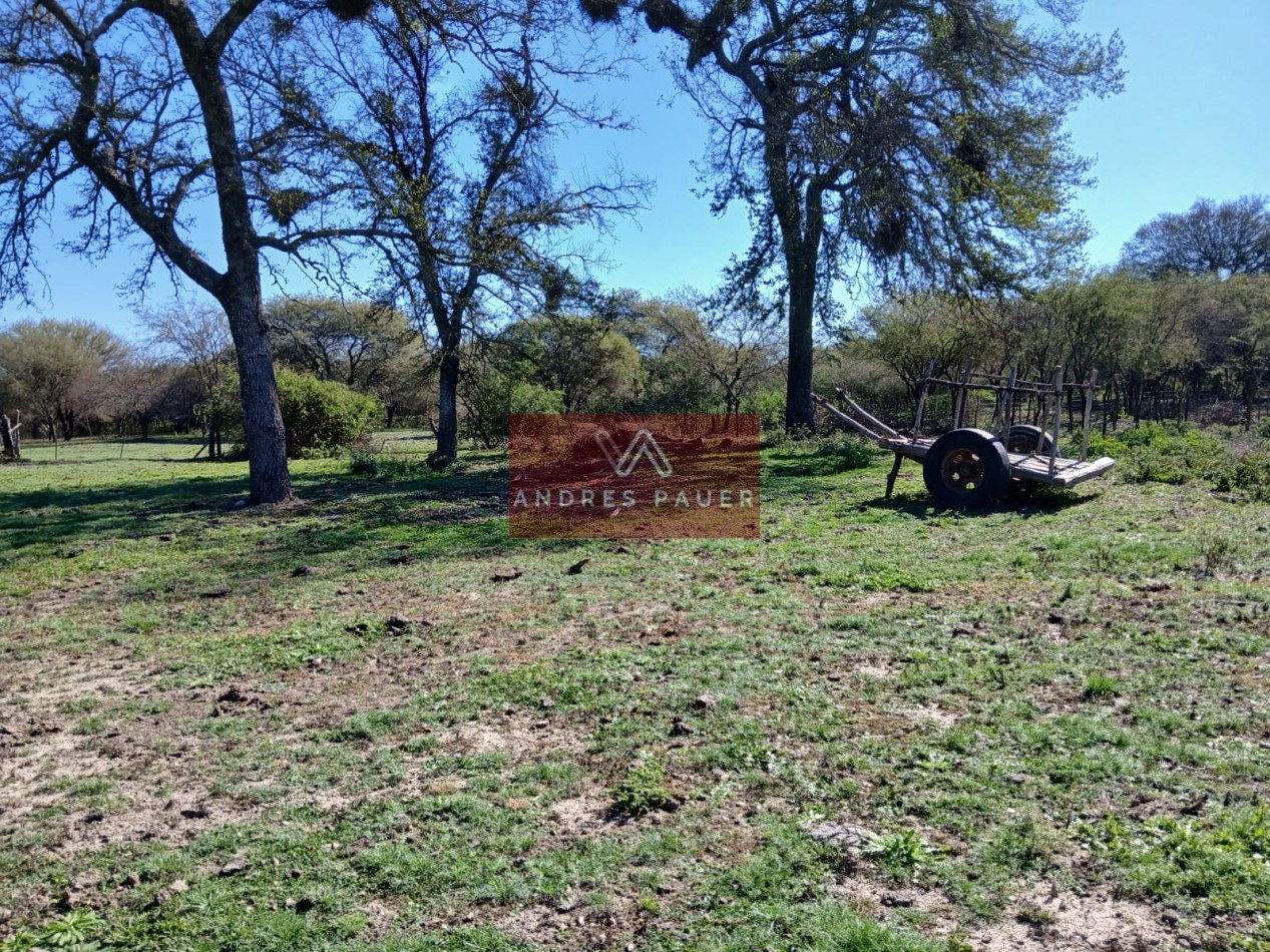 VENTA O ALQUILER DE CAMPO GANADERO 496 HECTAREAS