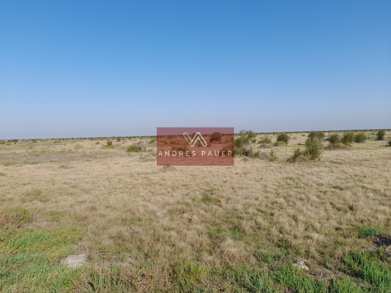 VENTA DE CAMPO