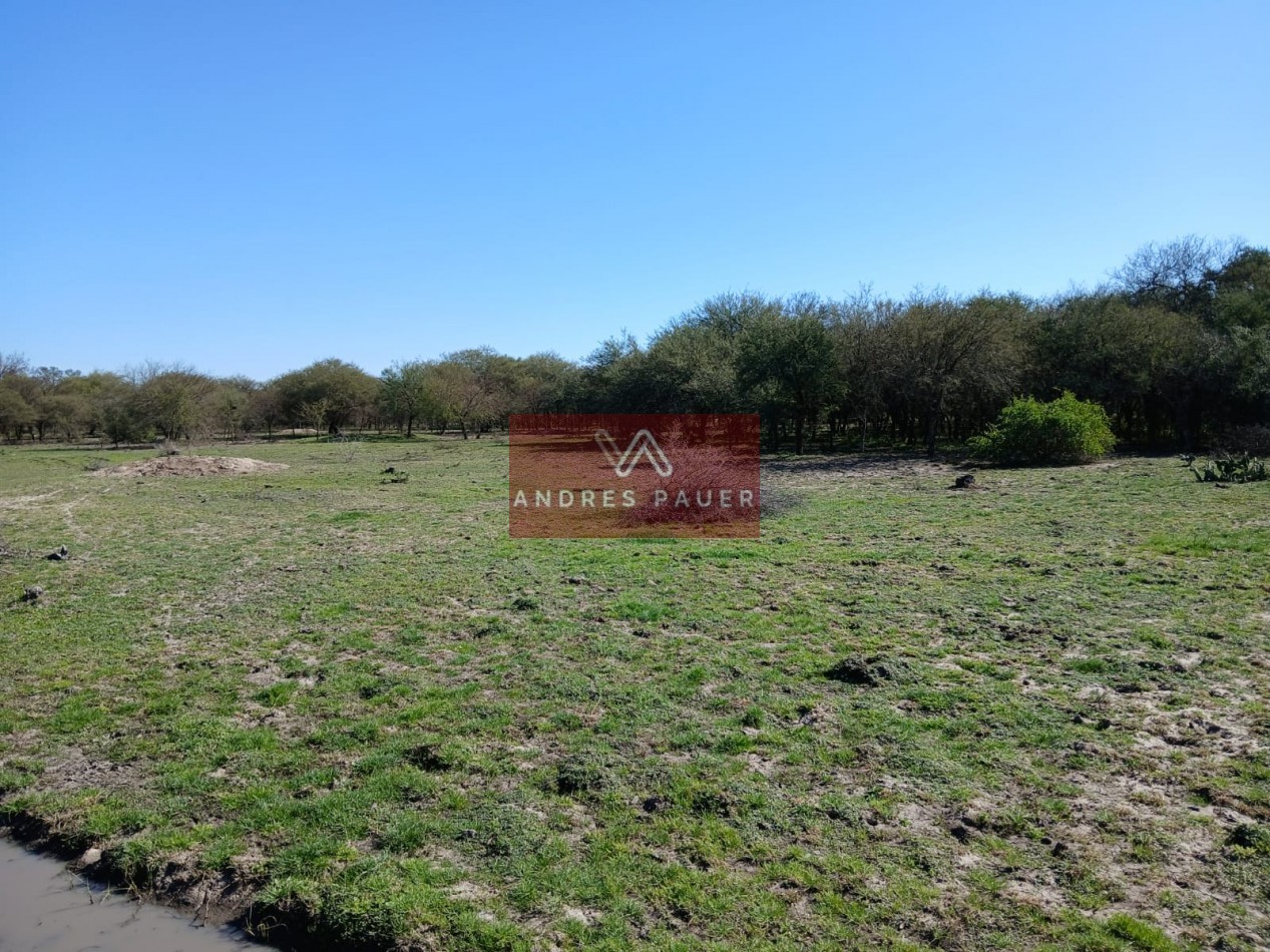 VENTA O ALQUILER DE CAMPO GANADERO 496 HECTAREAS