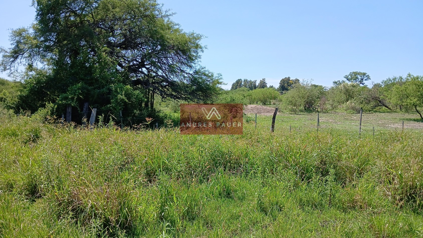 VENTA DE CAMPO-CHACRA