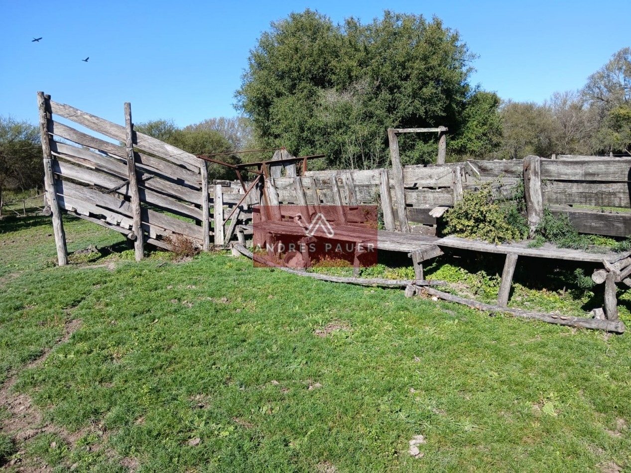 VENTA O ALQUILER DE CAMPO GANADERO 496 HECTAREAS