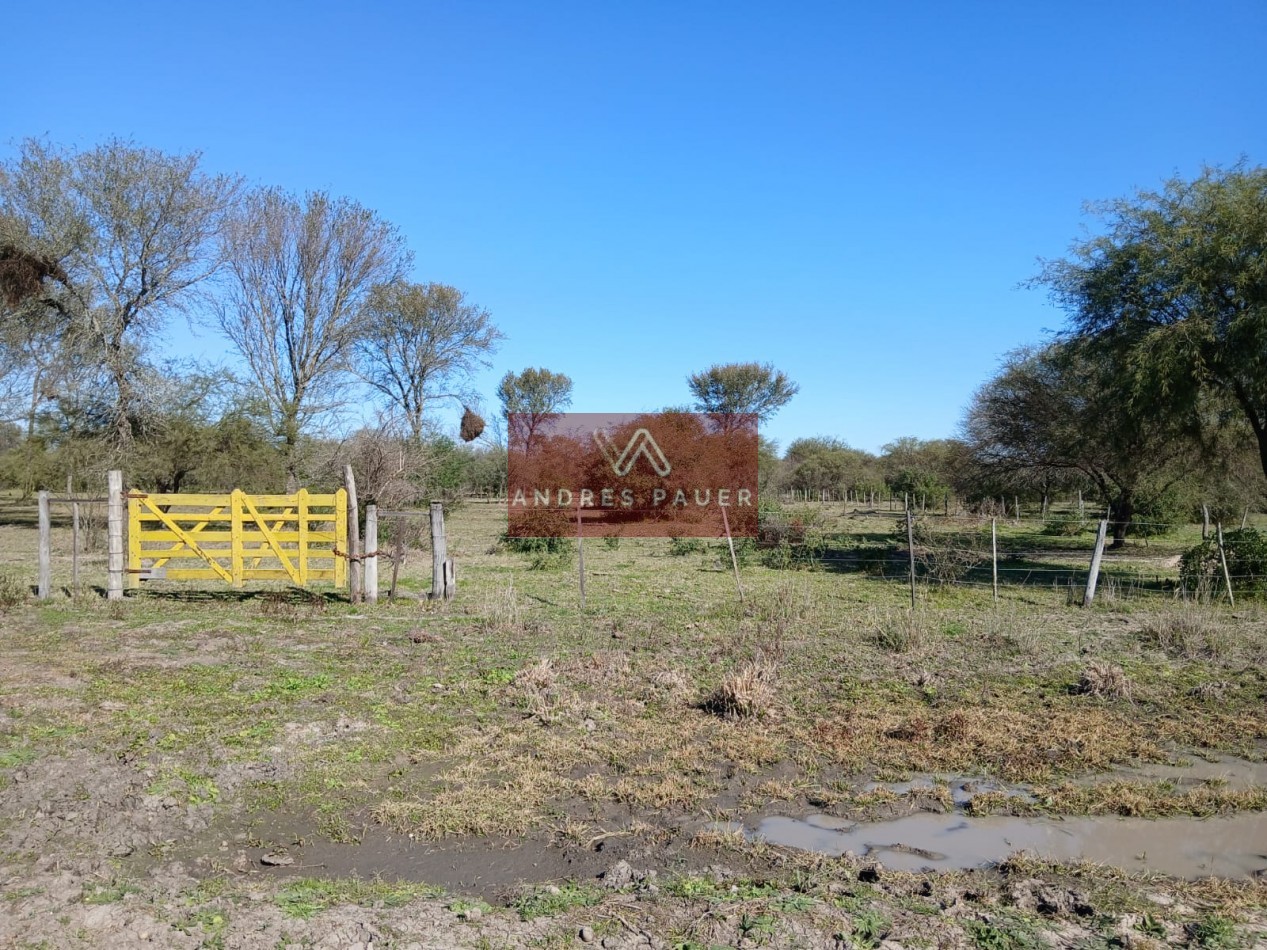 VENTA O ALQUILER DE CAMPO GANADERO 496 HECTAREAS