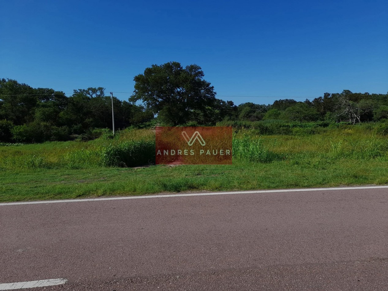 VENTA DE CAMPO