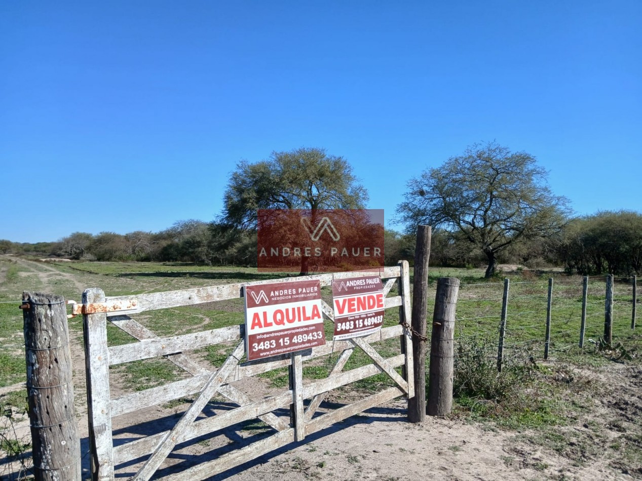 VENTA O ALQUILER DE CAMPO GANADERO 496 HECTAREAS