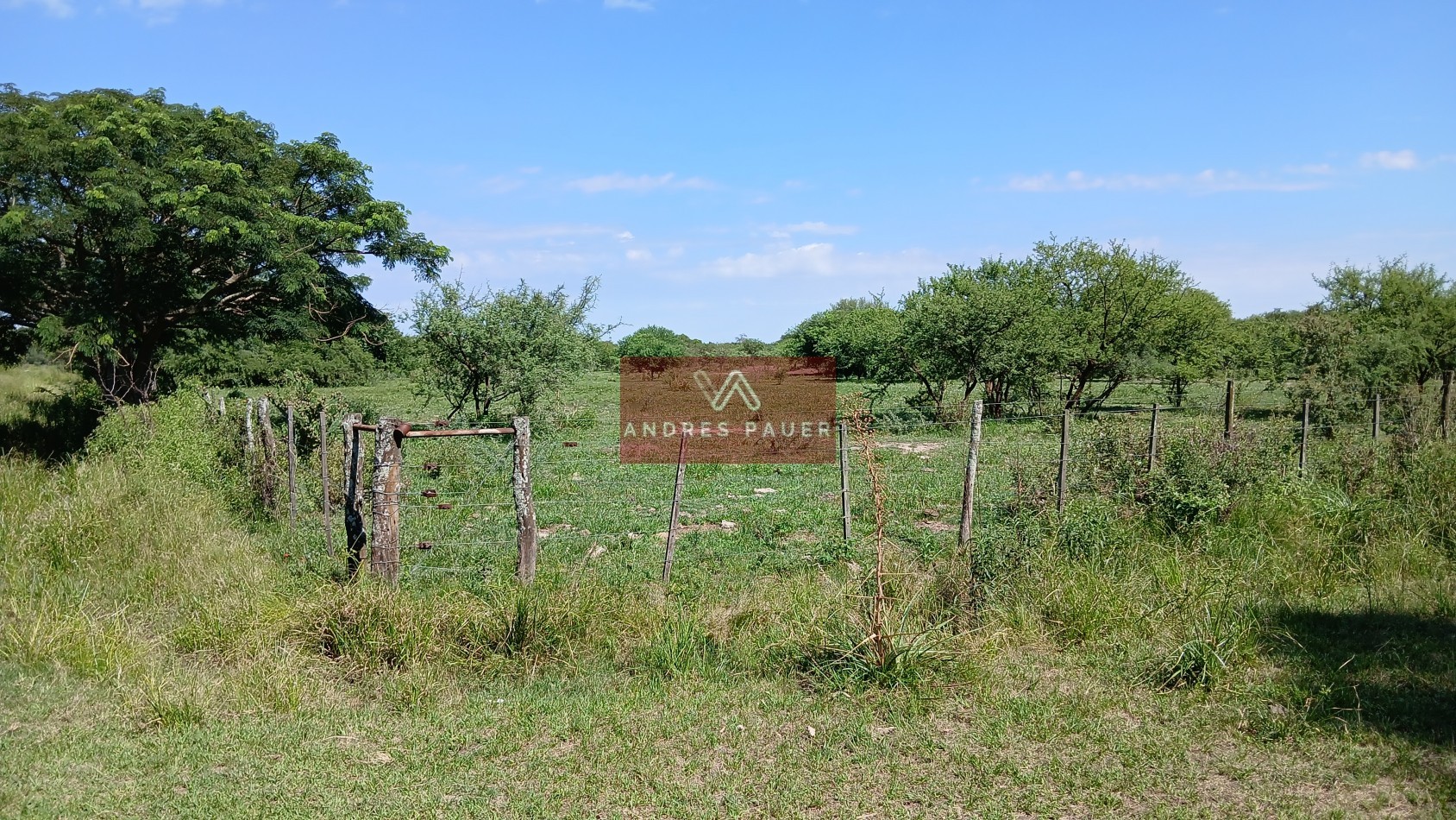 VENTA DE CAMPO-CHACRA