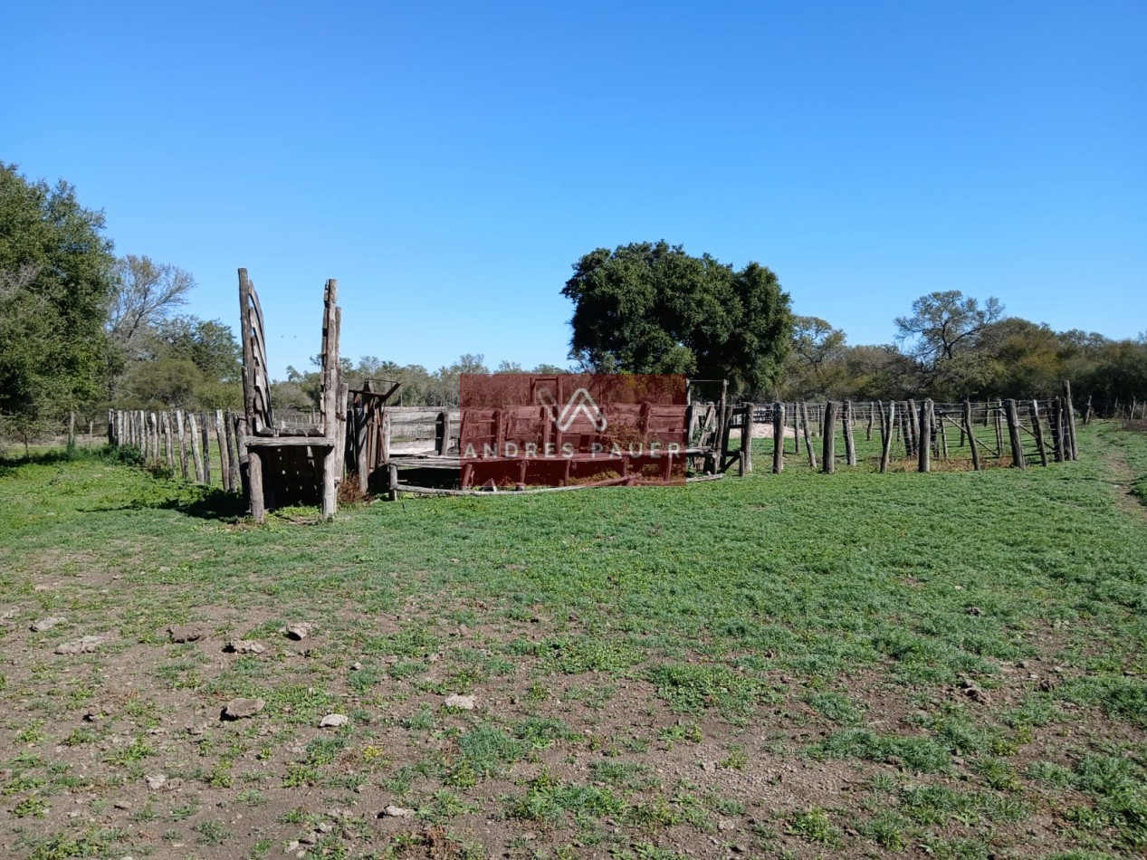VENTA O ALQUILER DE CAMPO GANADERO 496 HECTAREAS