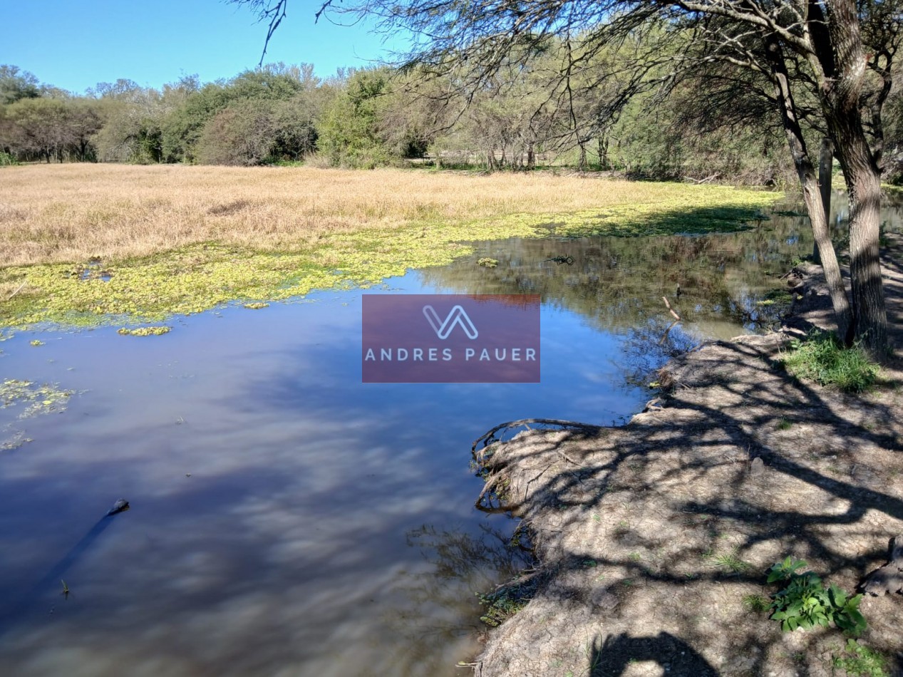 VENTA O ALQUILER DE CAMPO GANADERO 496 HECTAREAS