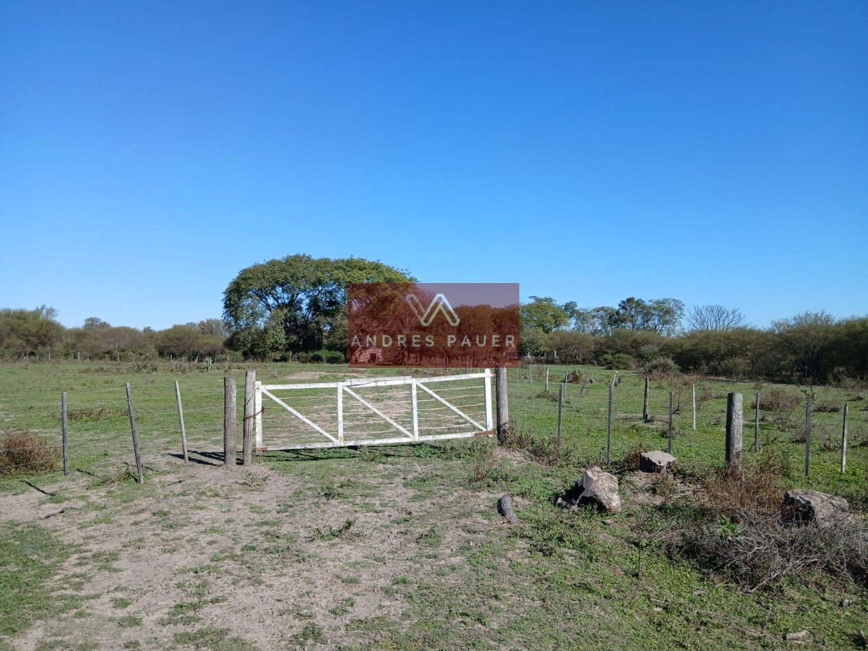 VENTA O ALQUILER DE CAMPO GANADERO 496 HECTAREAS