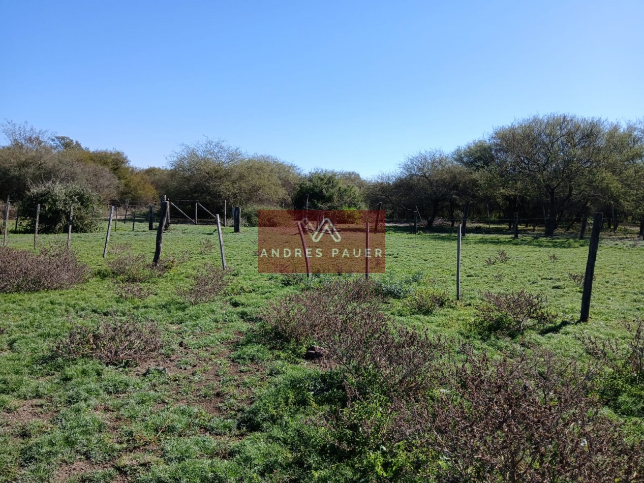 VENTA O ALQUILER DE CAMPO GANADERO 496 HECTAREAS