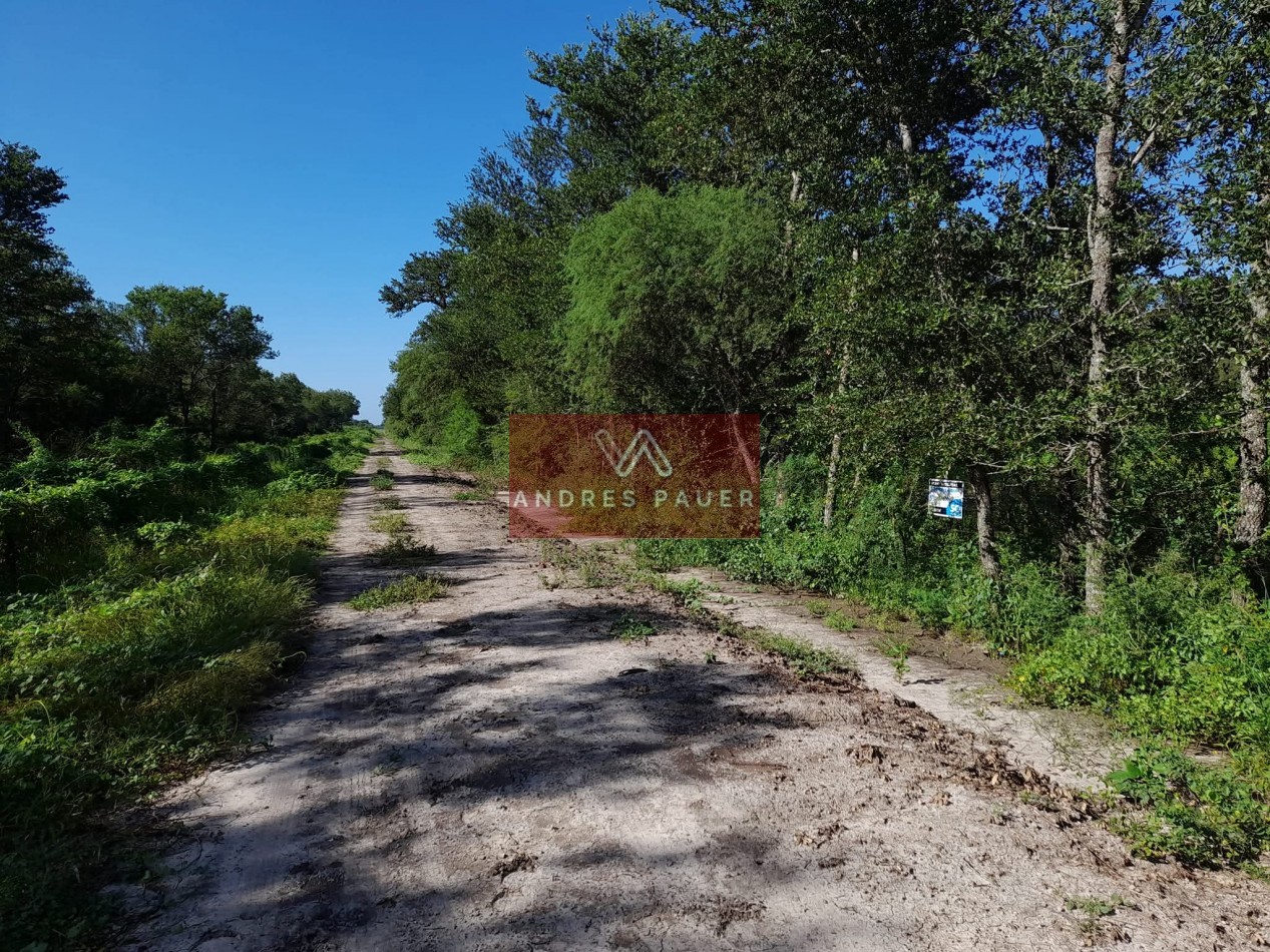 VENTA DE CAMPO