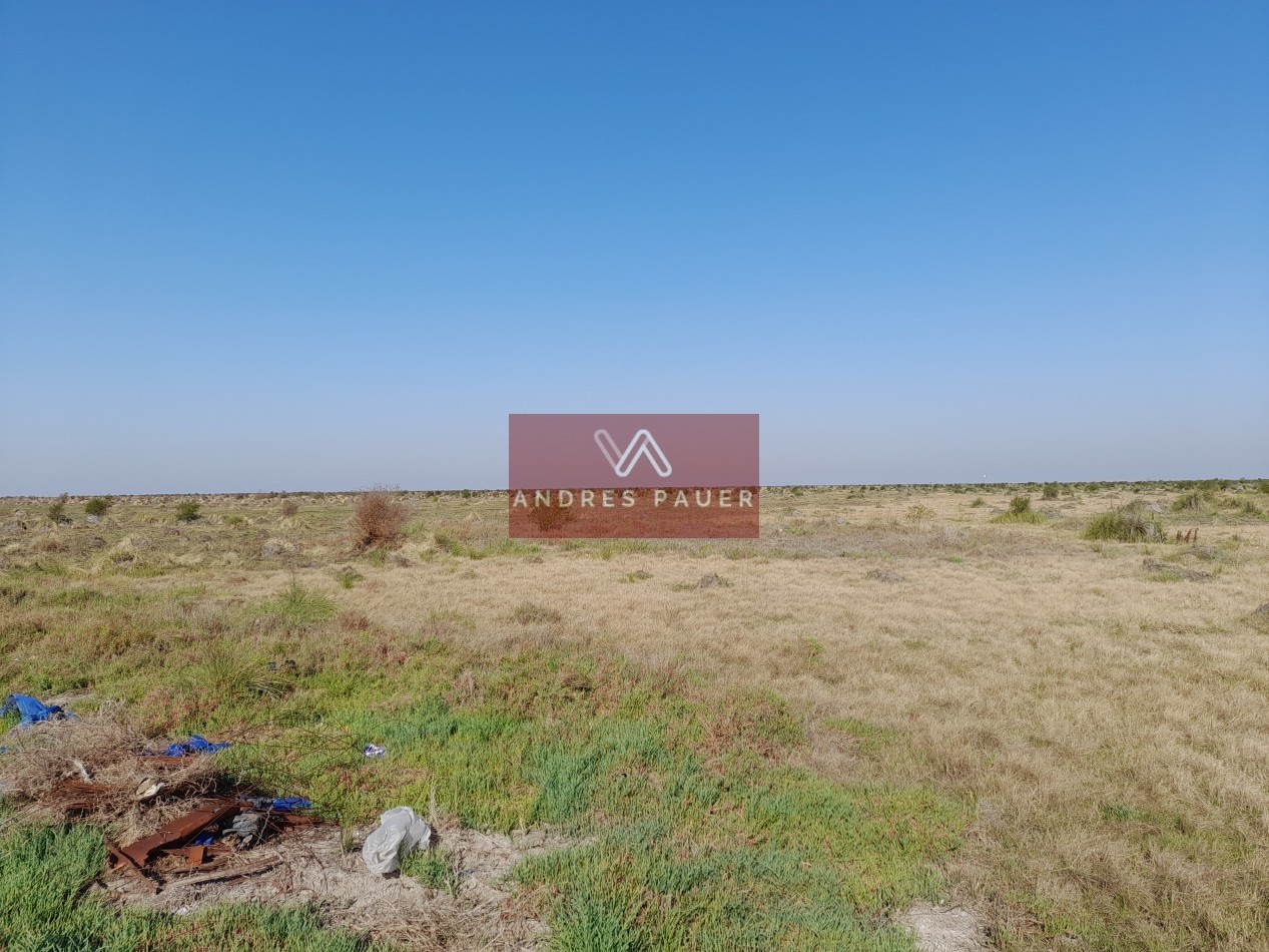VENTA DE CAMPO