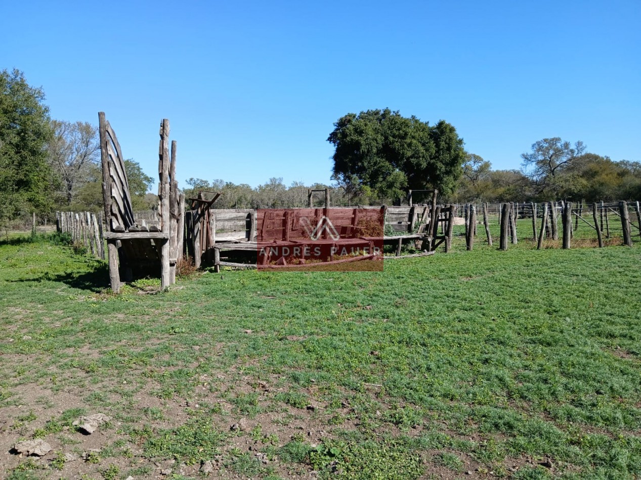 VENTA O ALQUILER DE CAMPO GANADERO 496 HECTAREAS