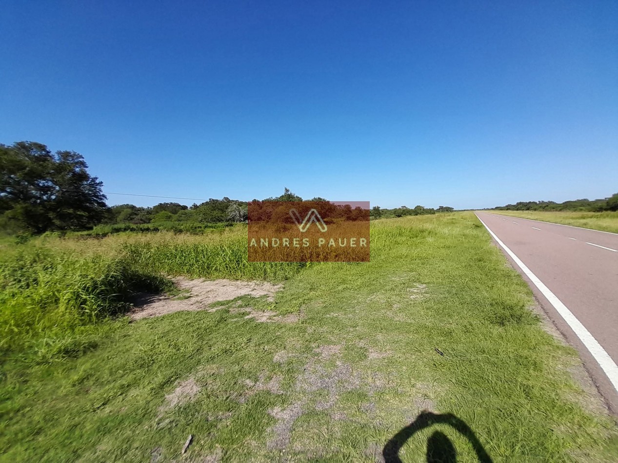 VENTA DE CAMPO