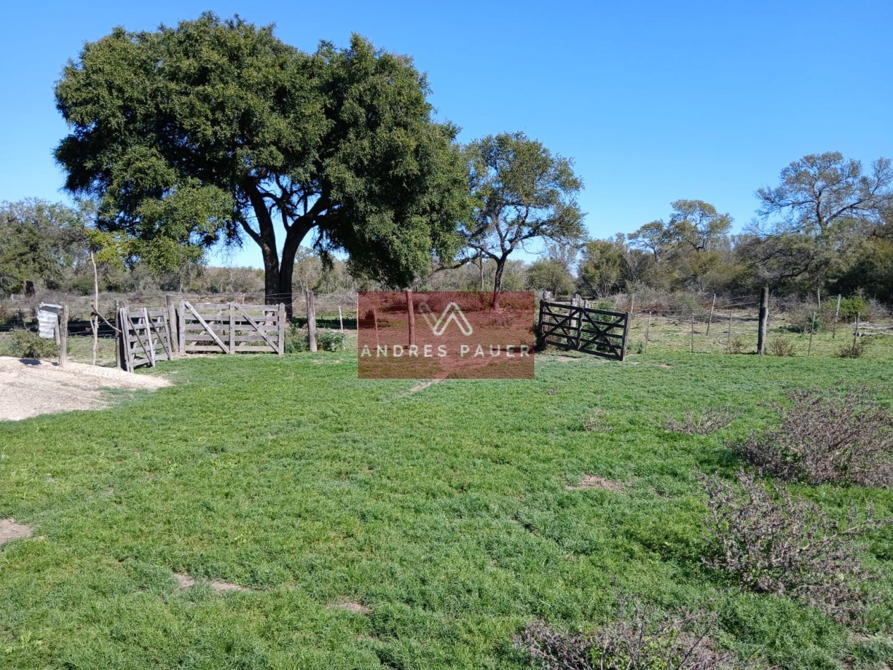 VENTA O ALQUILER DE CAMPO GANADERO 496 HECTAREAS