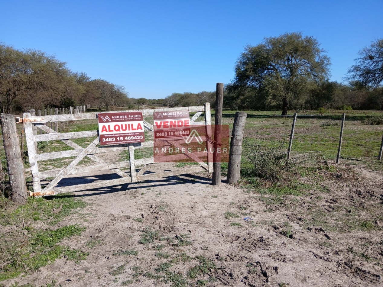 VENTA O ALQUILER DE CAMPO GANADERO 496 HECTAREAS