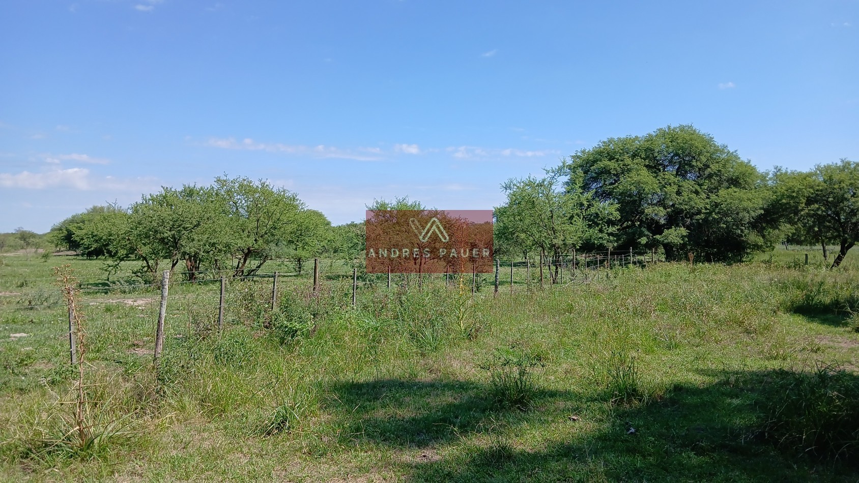 VENTA DE CAMPO-CHACRA