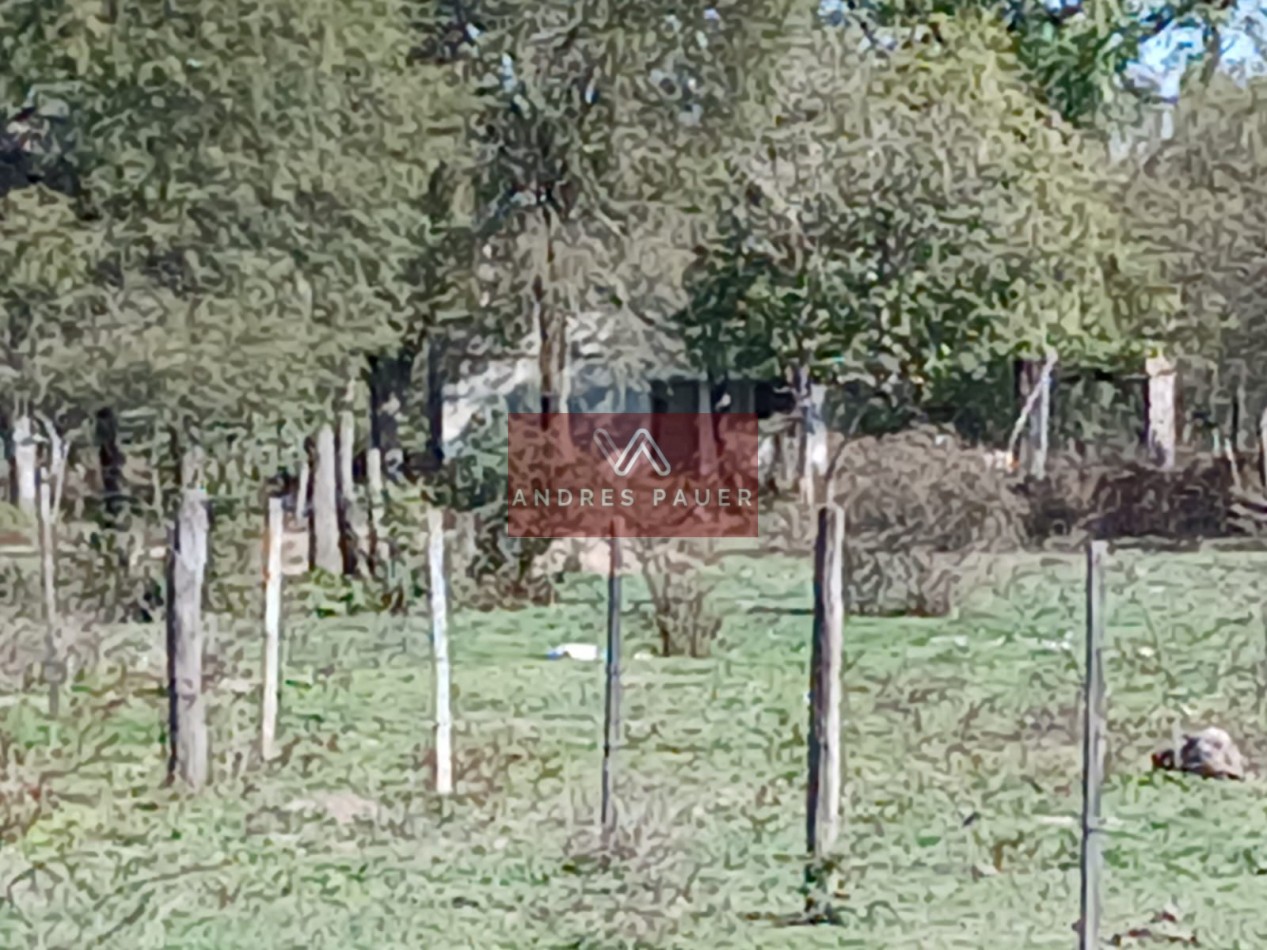 VENTA O ALQUILER DE CAMPO GANADERO 496 HECTAREAS