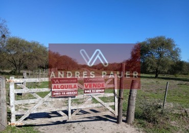 VENTA O ALQUILER DE CAMPO GANADERO 496 HECTAREAS