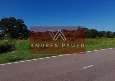 VENTA DE CAMPO