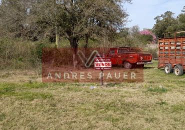 VENTA DE TERRENO  (LOTE N° 8) 