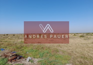 VENTA DE CAMPO
