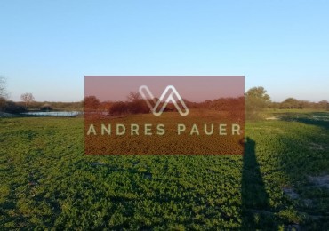 VENTA DE CAMPO EN FORTIN OLMOS